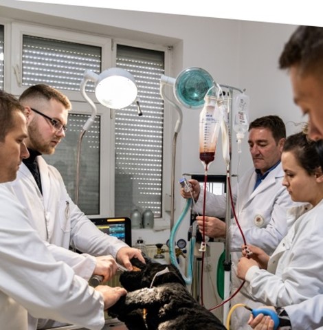 Fakulteti i Bujqësisë dhe i Veterinarisë