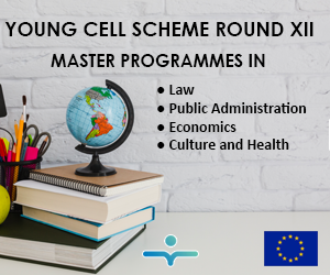 YOUNG CELL SCHEME RAUNDI XII