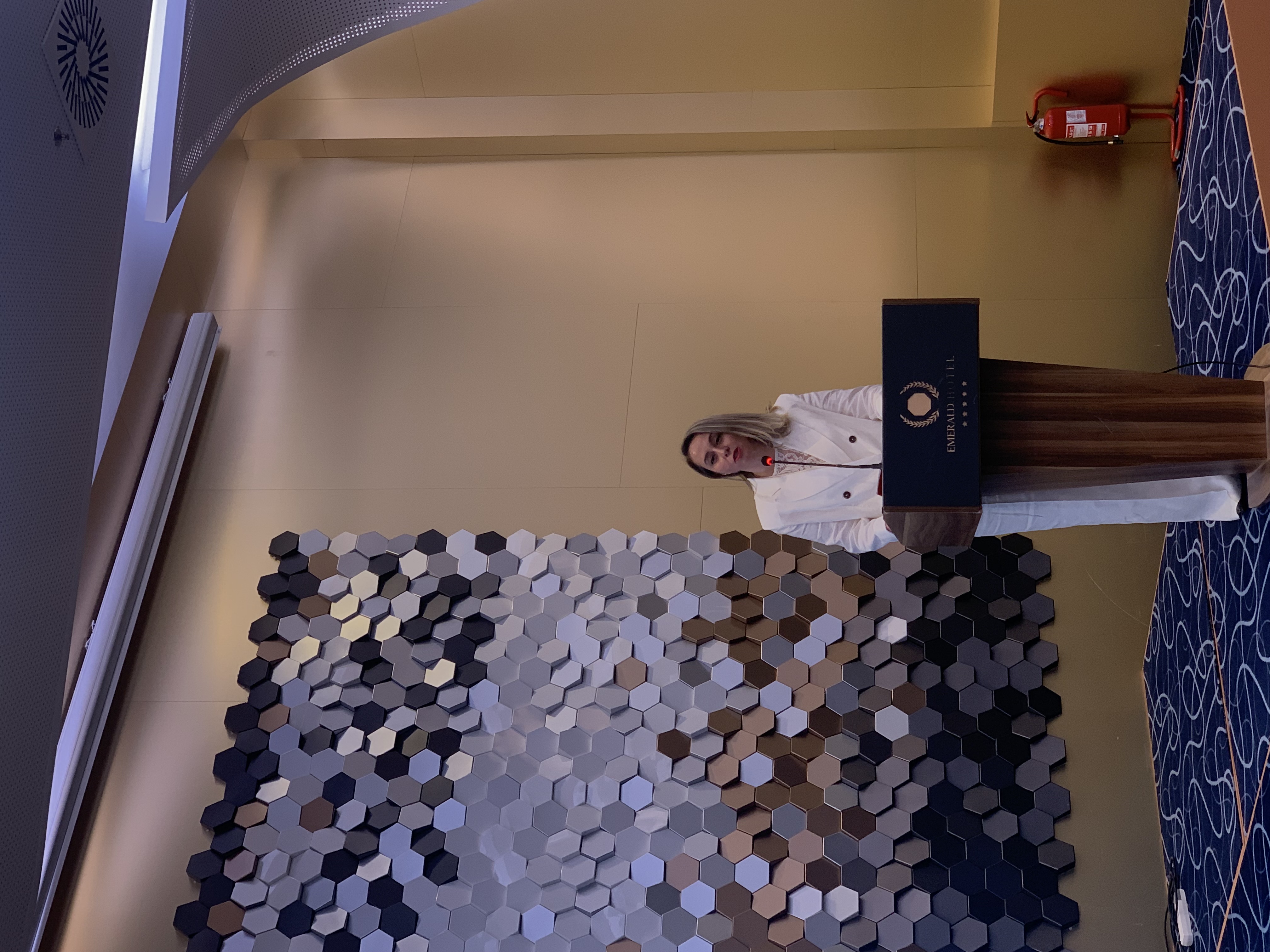 Universiteti i Prishtinës mbajti me sukses Konferencën Vjetore të Fakultetit Ekonomik me temën "Mbyllja e Hendekut Gjinor në Kosovë"