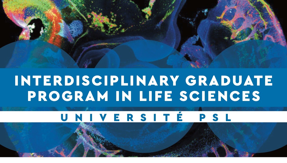 Master's scholarship Program in Life Sciences, PSL-Q-Life