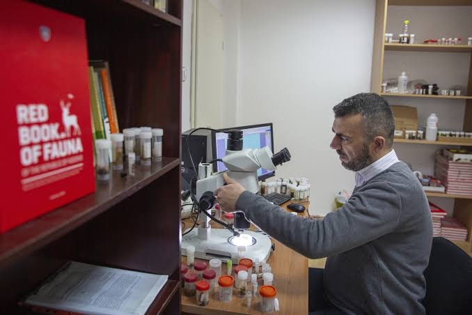 University of Prishtina Professor Discovers a New Insect, Names It Tinodes lumbardhi
