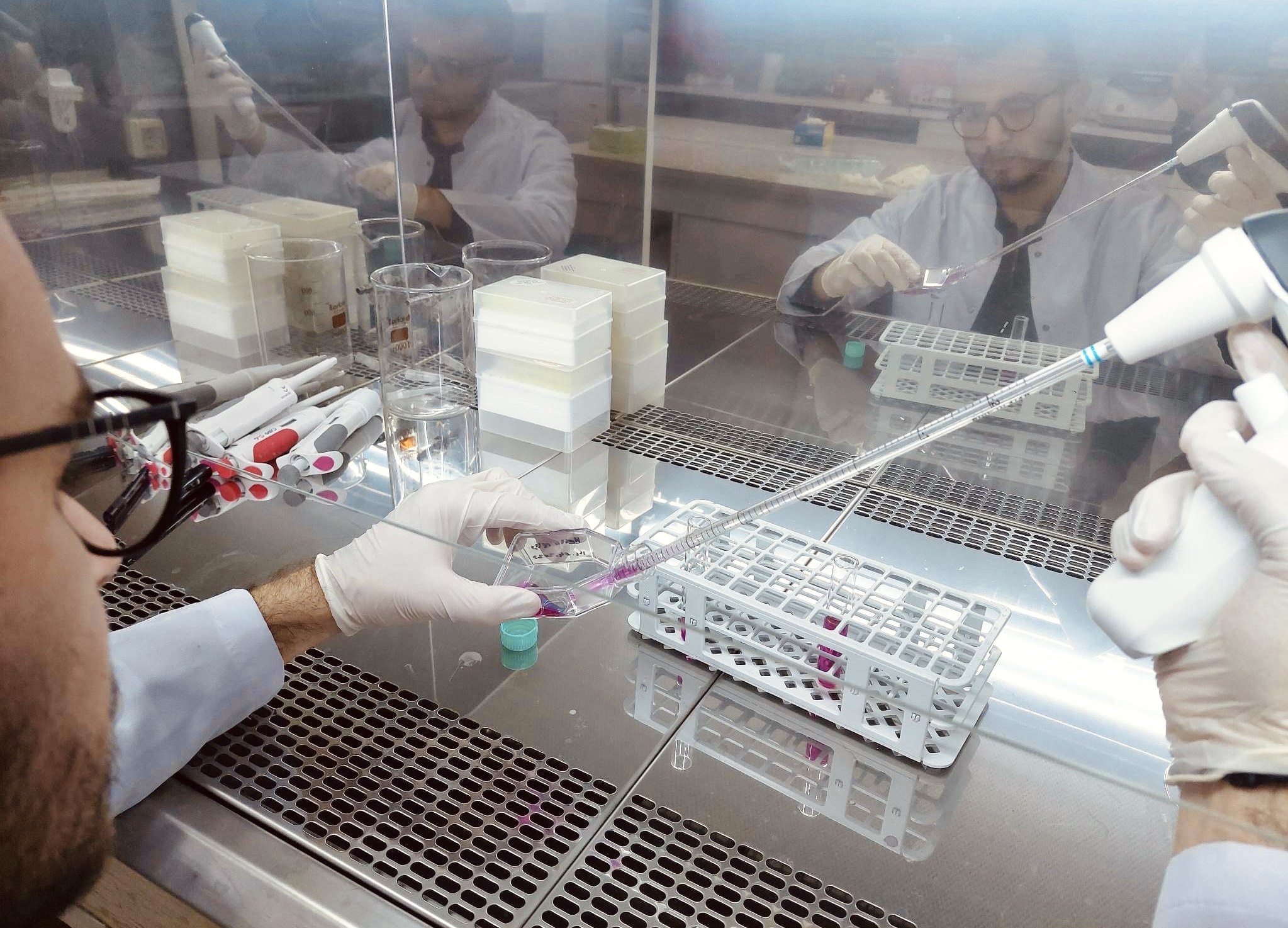 “Biologjia molekulare”, programi më i ri studimor në Universitetin e Prishtinës
