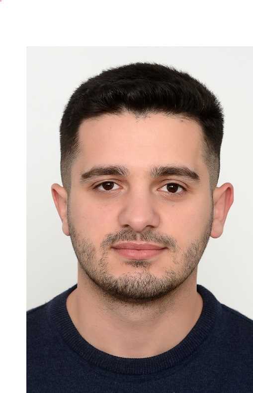 Besnik  Avdiaj